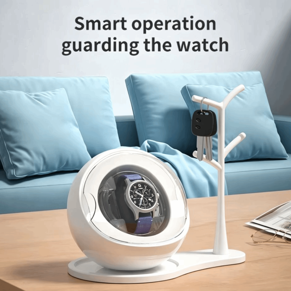 Dual-use for Charging and Plug - Automatic Watch Winder 评论和价格