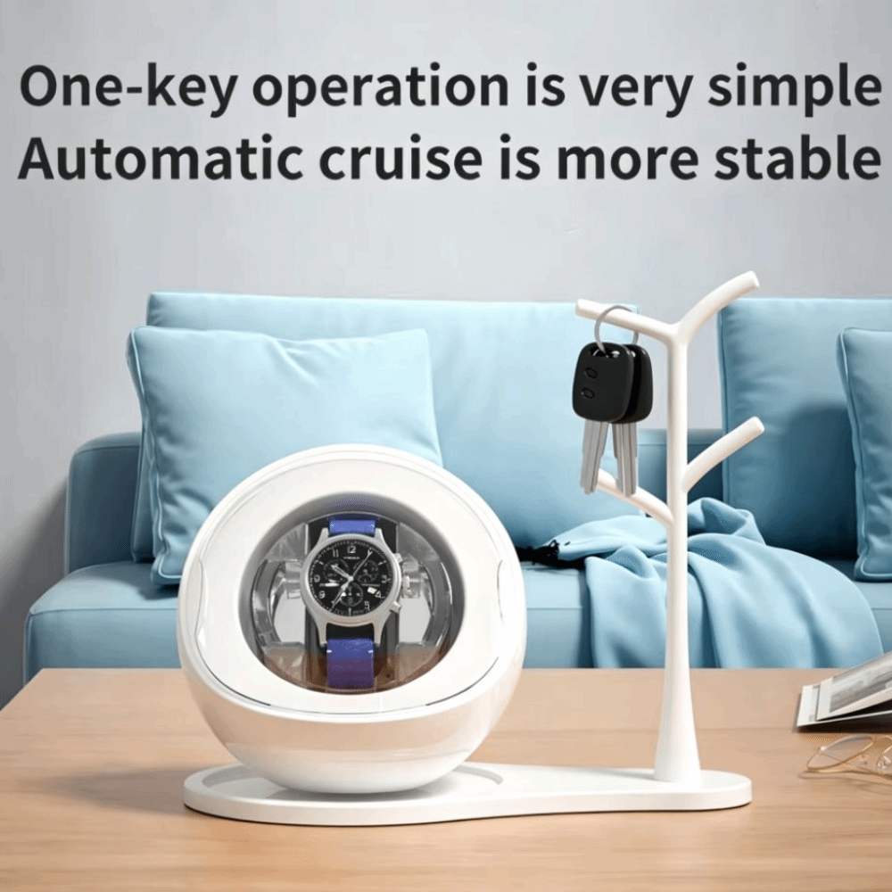Dual-use for Charging and Plug - Automatic Watch Winder 评论和价格