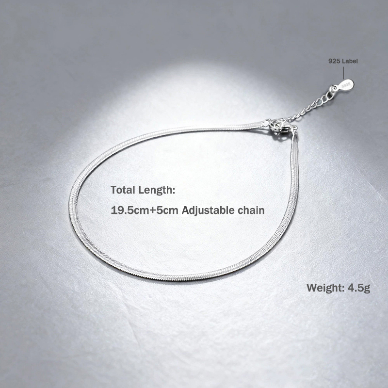 Classic Simple Flat Snake Bone - Anklet Foot Chain 评论和价格