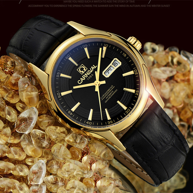 Carnival Brand Luxury Watches  - Automatic Watch Winder 评论和价格