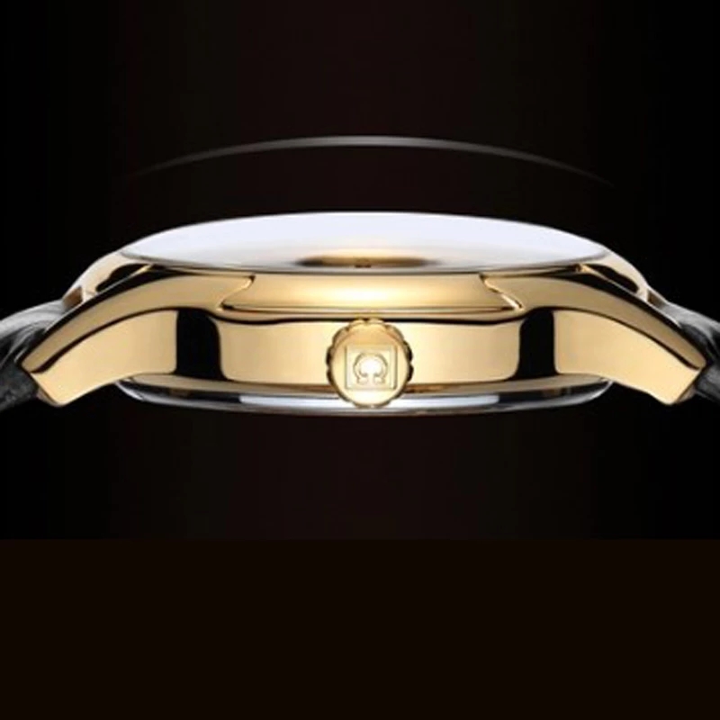 Carnival Brand Luxury Watches  - Automatic Watch Winder 评论和价格